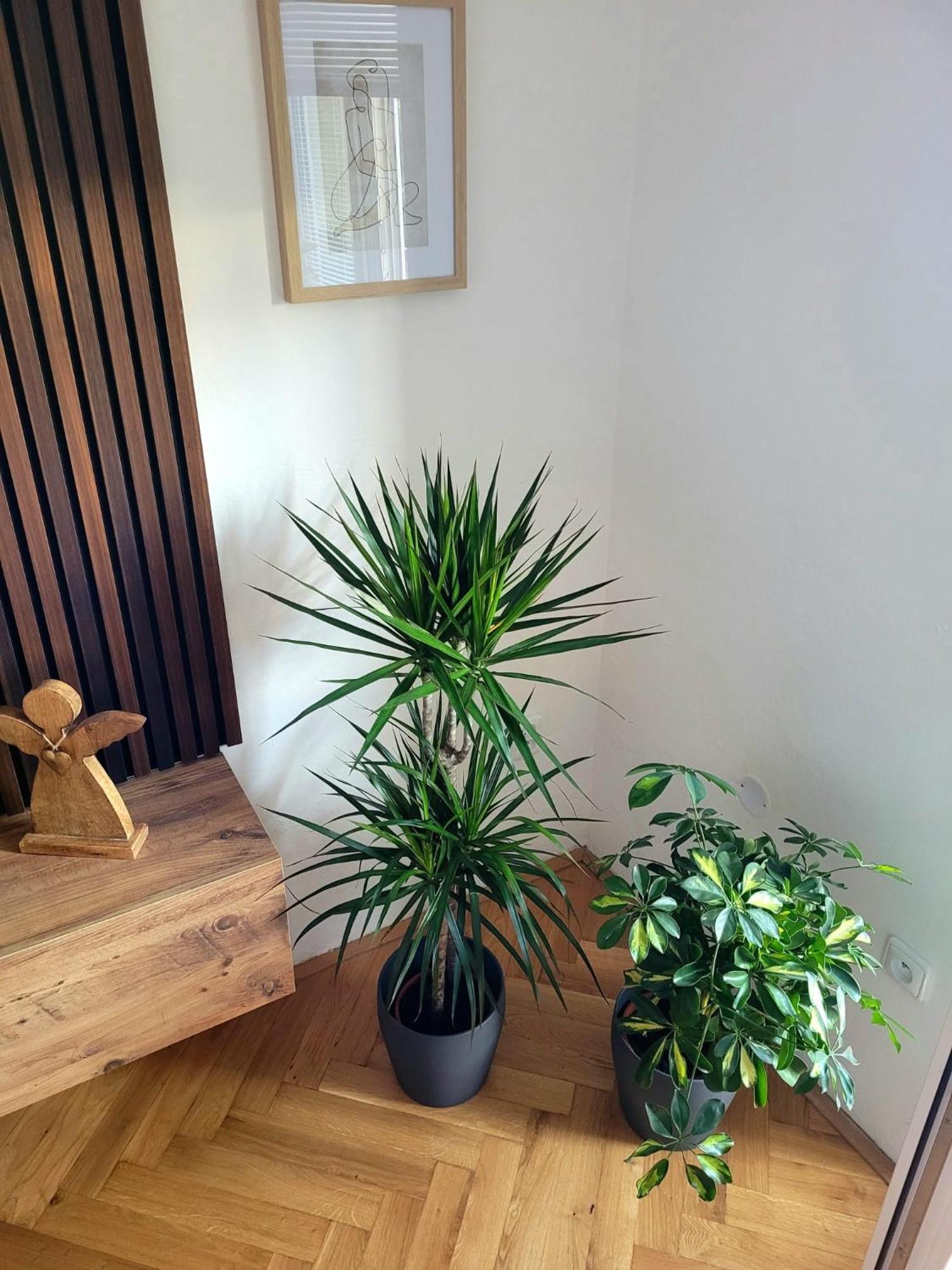 Novy Apartman Eva Jicin Exterior photo