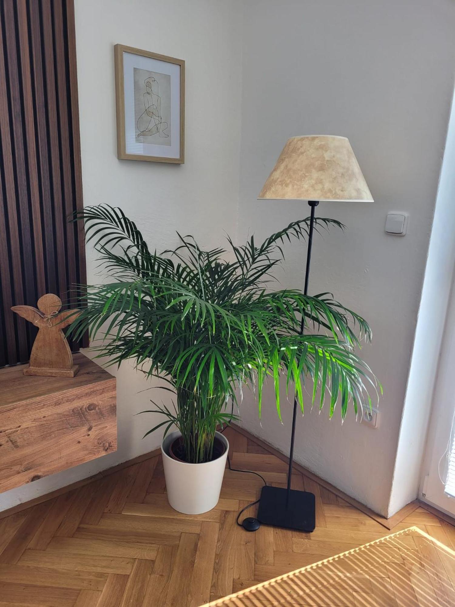 Novy Apartman Eva Jicin Exterior photo